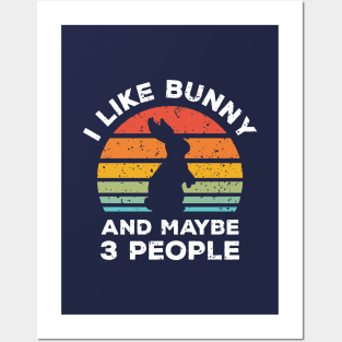 I Like Bunny and Maybe 3 People, Retro Vintage Sunset with Style Old Grainy Grunge Texture Posters and Art